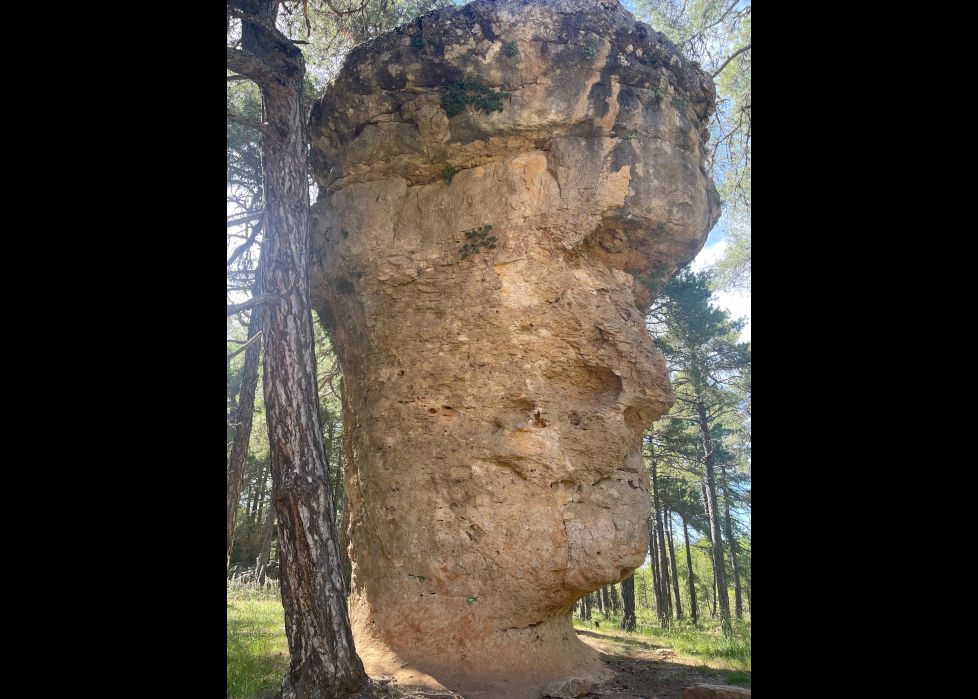 GIZAKIEN AURPEGIA
