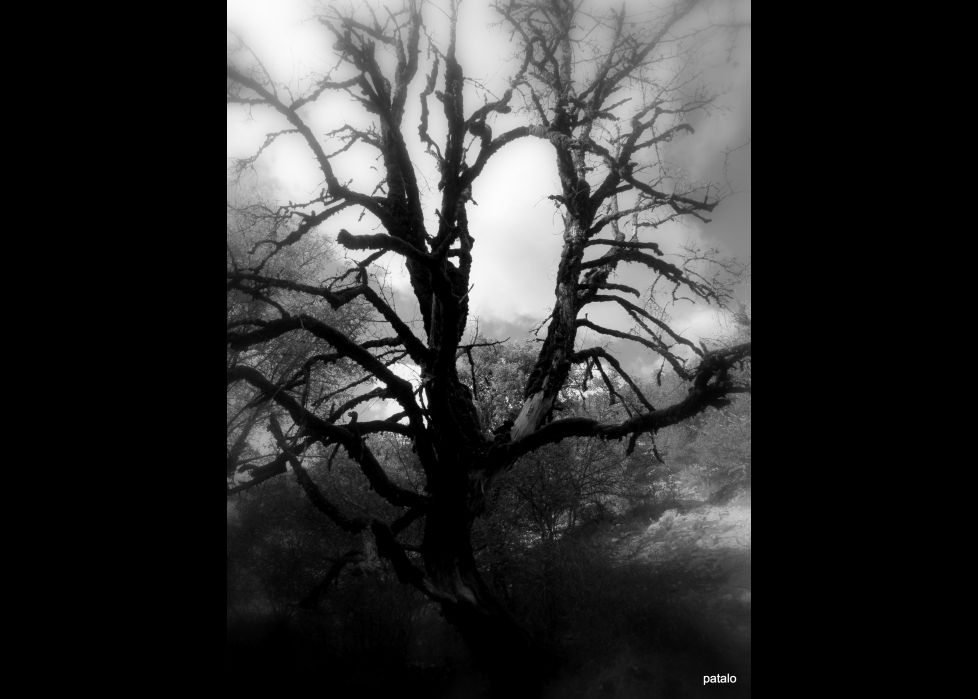 La hora Espectral.