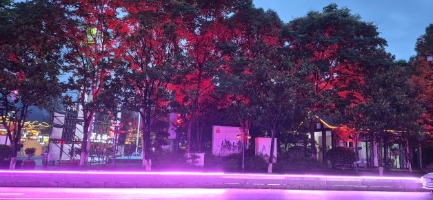 Iluminación.