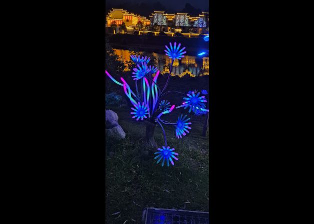 Iluminando el camino