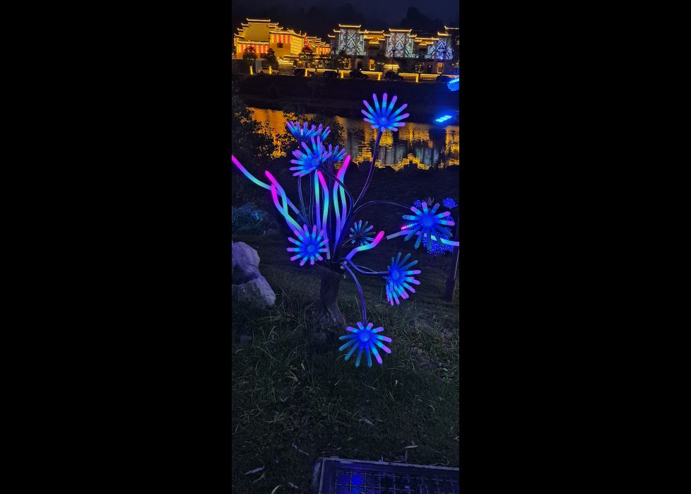 Iluminando el camino