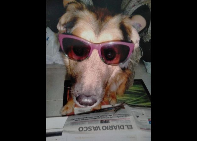 Informandose tambien en verano