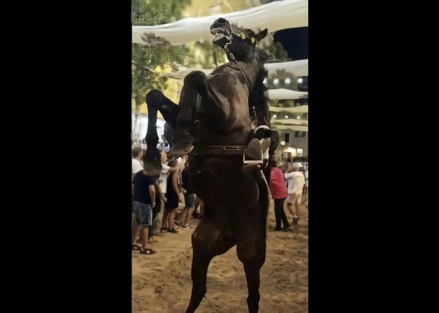 EL JALEO