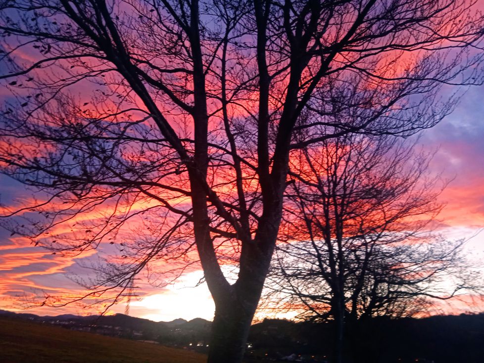 Kolor del amanecer