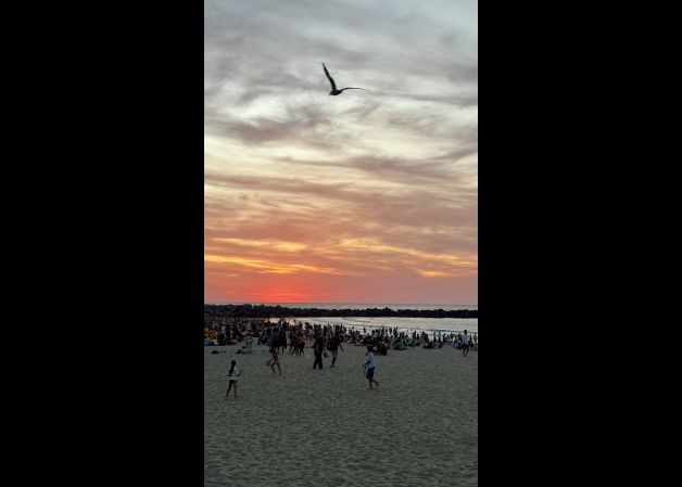Las palomas también estaban esperando el Jazzaldia