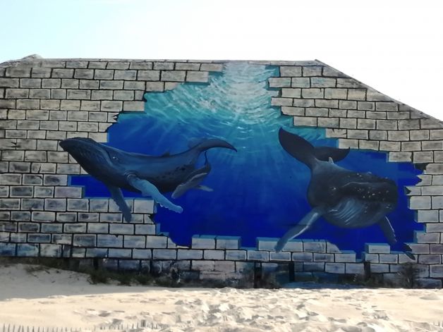 La libertad de los Mares.