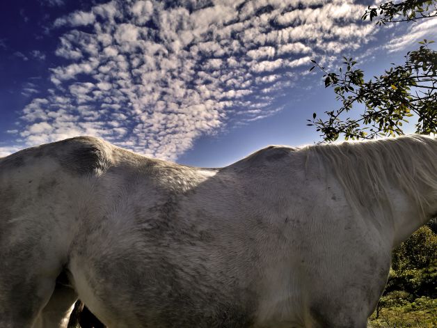 lomo y cielo