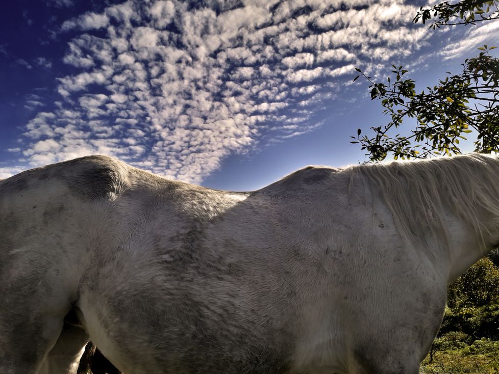 lomo y cielo