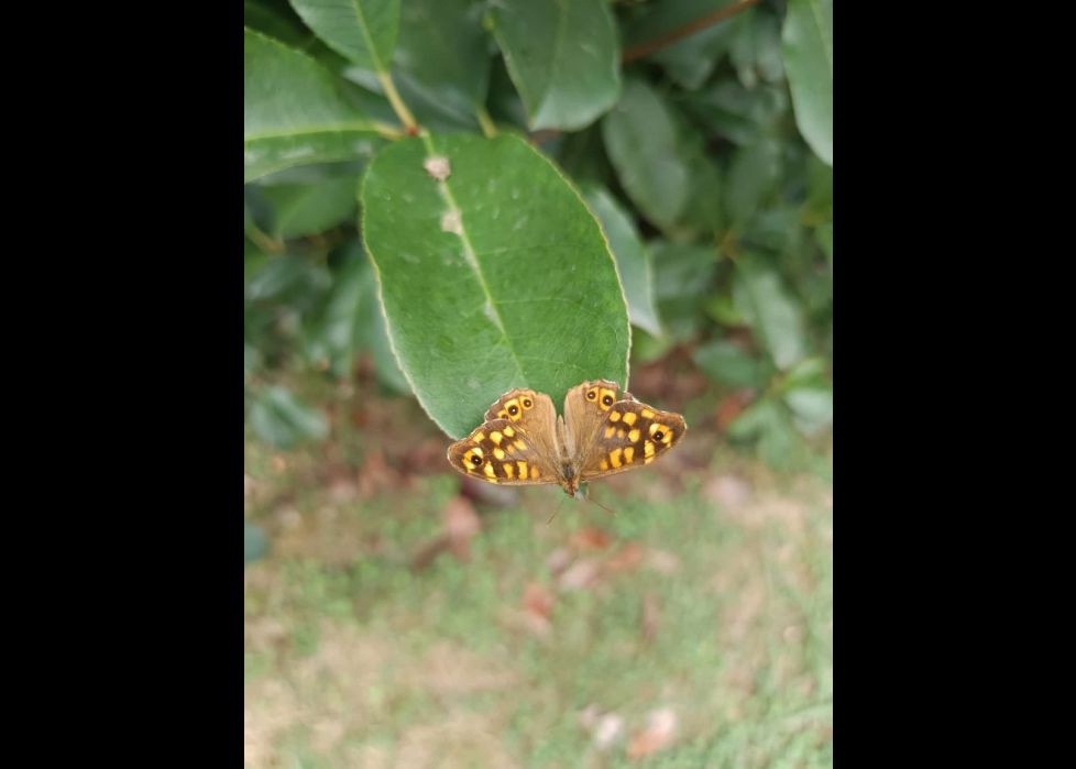 Maravillosa naturaleza