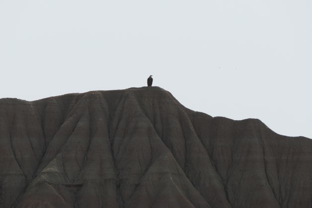 Mirador