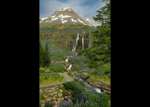 Naturaleza