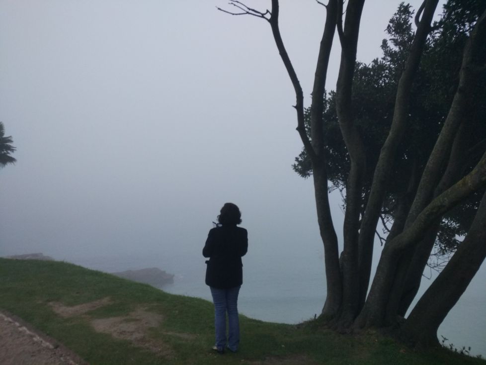 NIEBLA