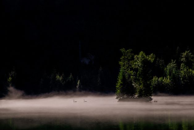 niebla en el lago