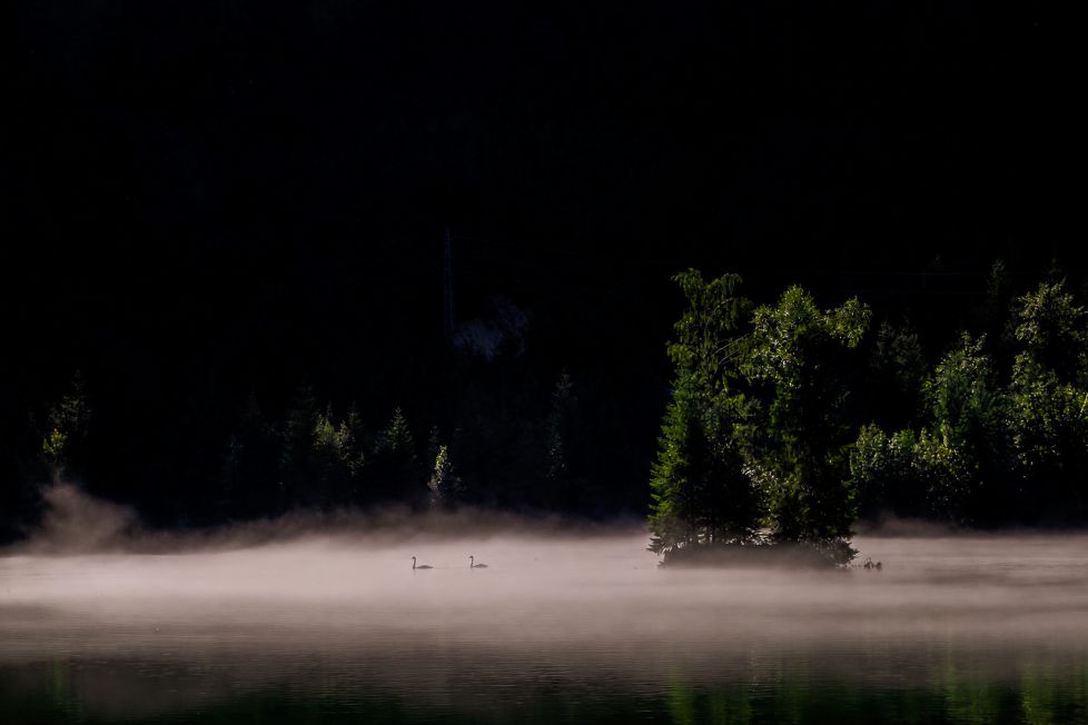 niebla en el lago