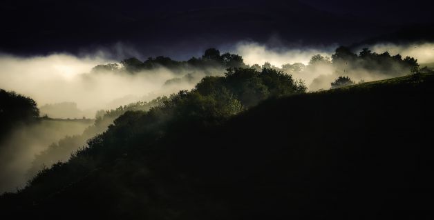 niebla matinal