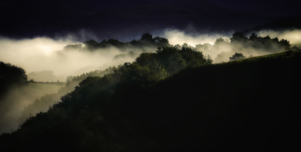 niebla matinal