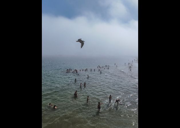 Niebla en al playa