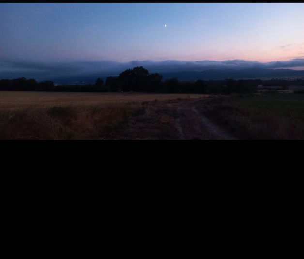 Noche