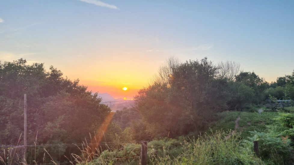 Nuevo amanecer 