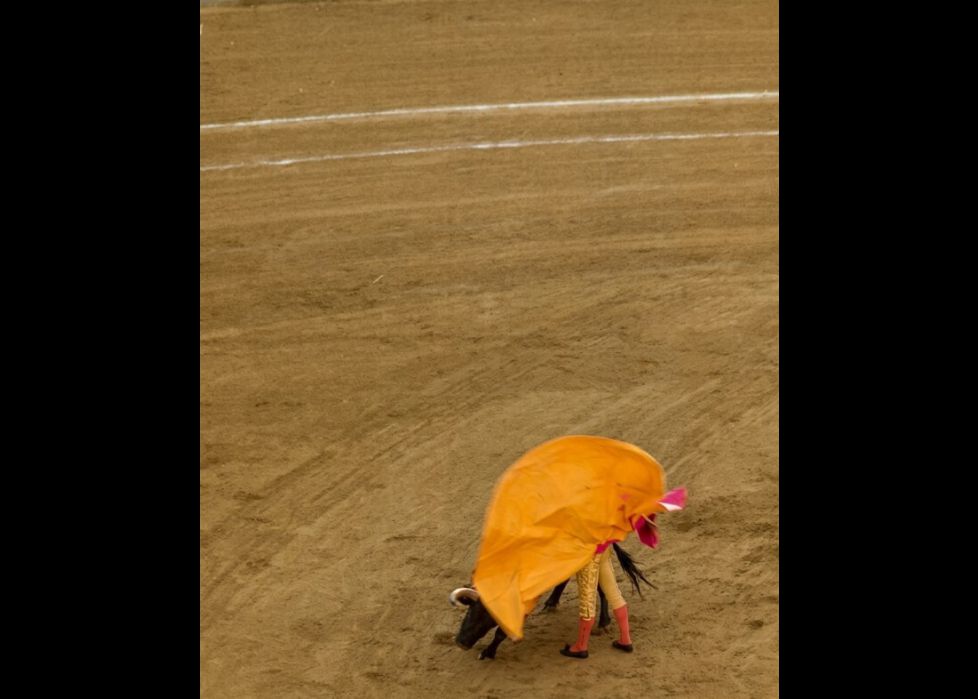 Ole