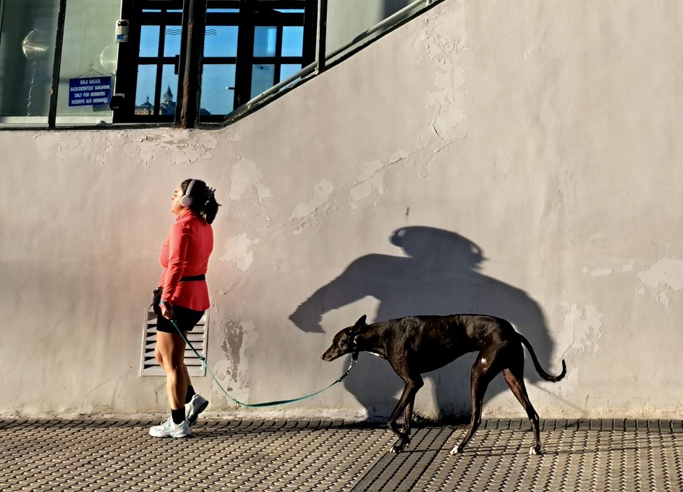 Operación bikini