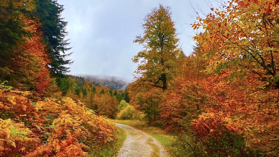 Otoño