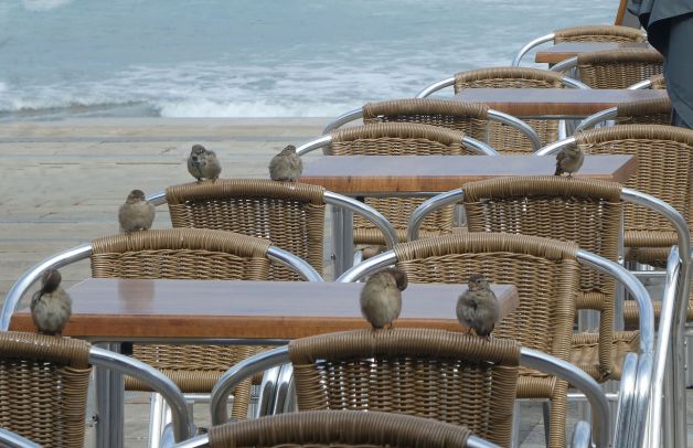 Parroquianos