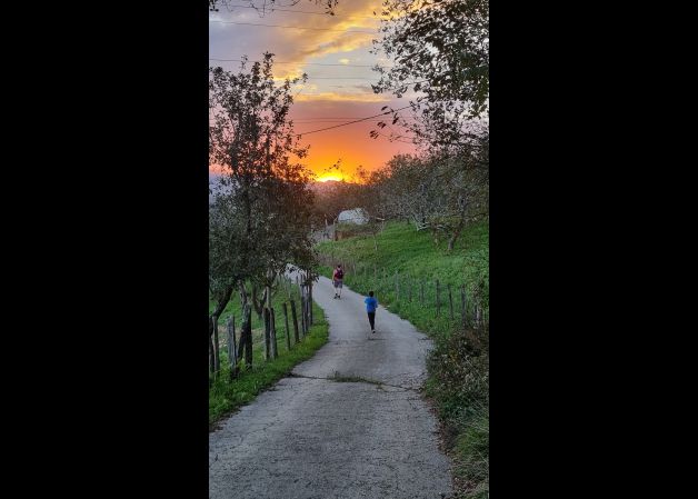 Paseo en familia