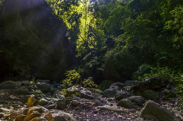 paseo por La Palma