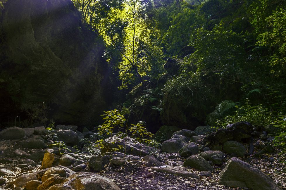 paseo por La Palma