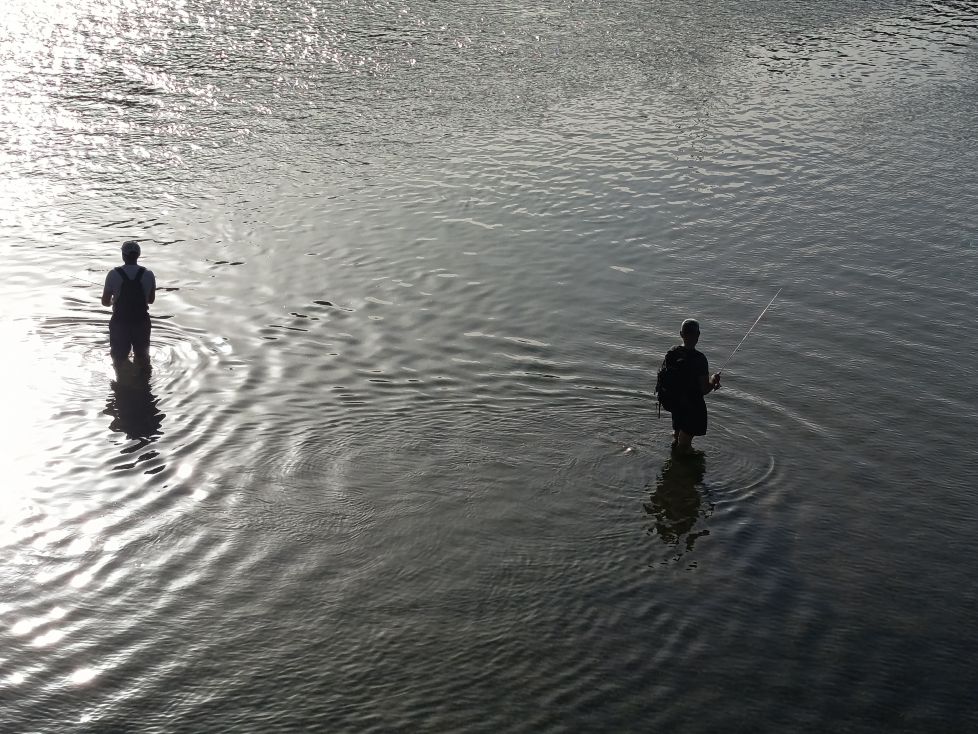 Pesca al atardecer.