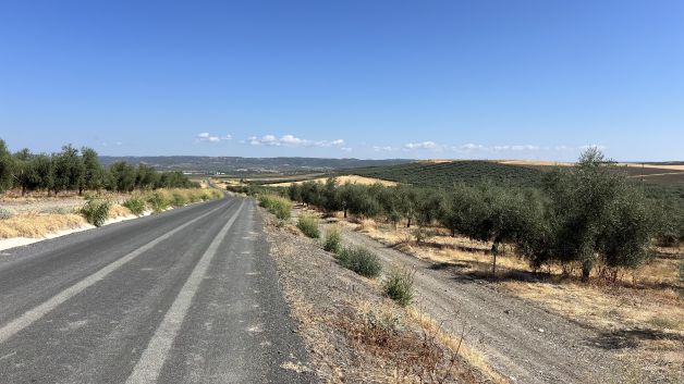 Por la Campiña Cordobesa 