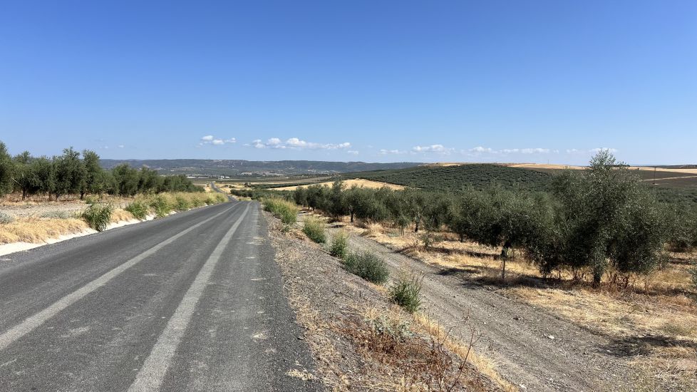 Por la Campiña Cordobesa 