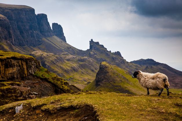 Primavera en la Isla de Skye 