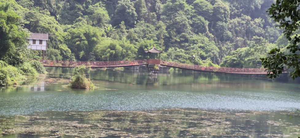 Puente sobre el  río 