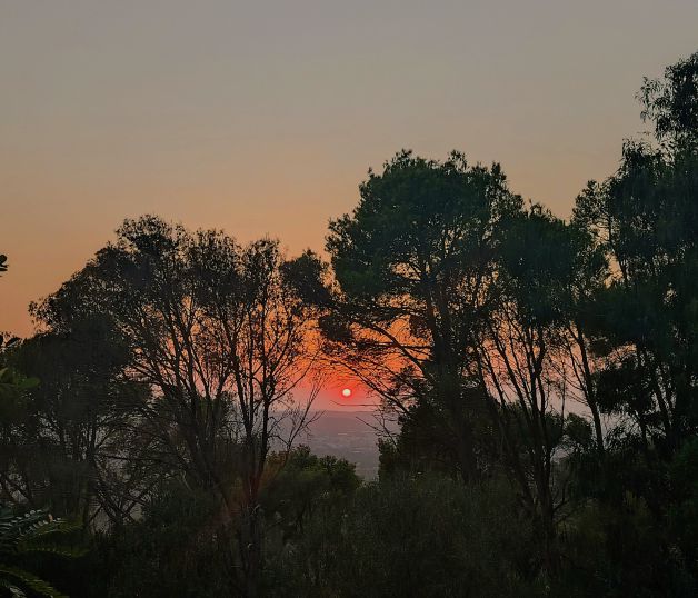 PUESTA DEL SOL