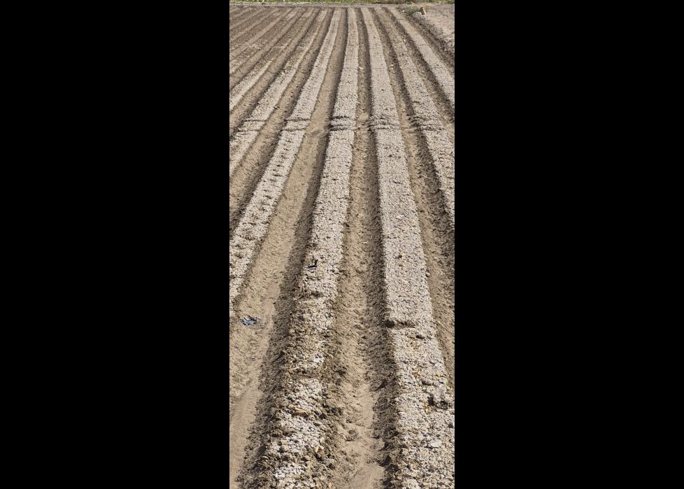 Que Impresionante es el campo