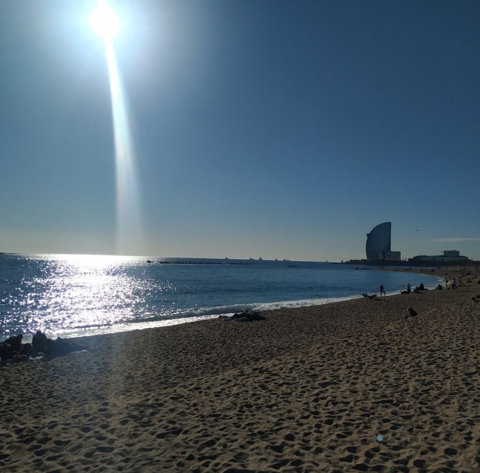 REFLEJO