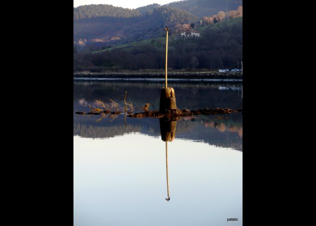 Reflejos.