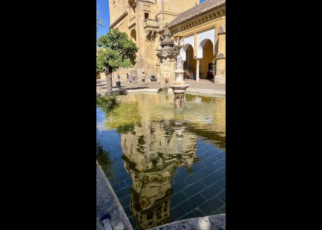 Reflejos de Mezquita Catedral 
