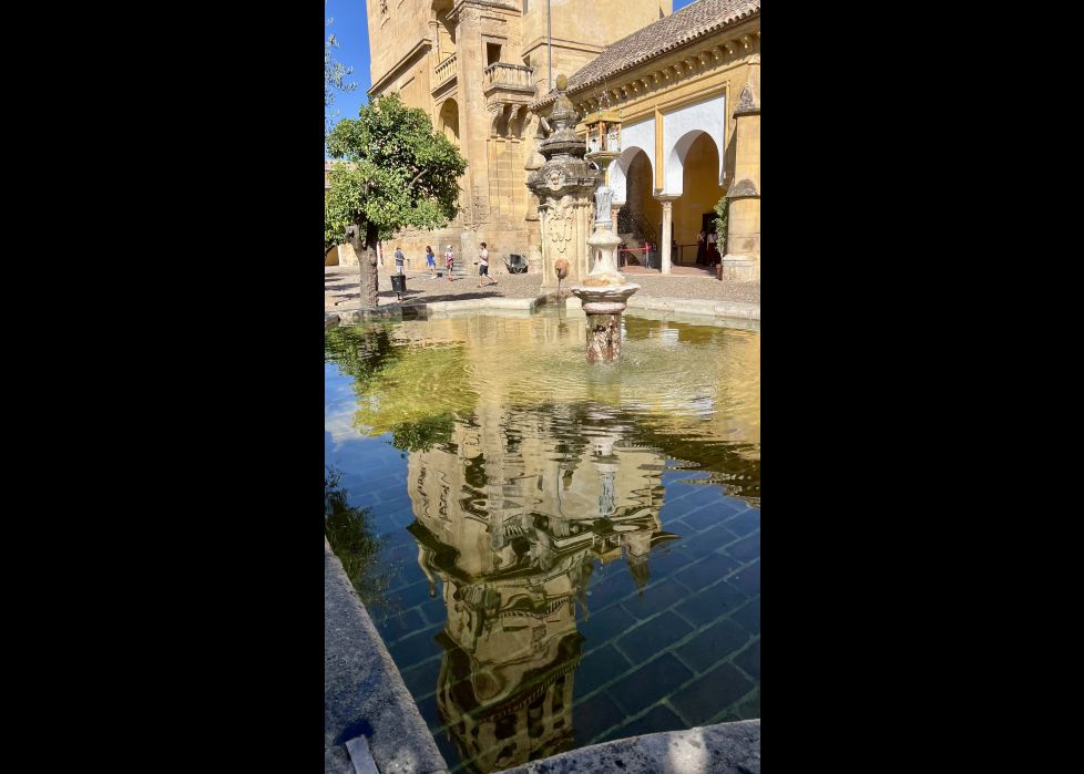 Reflejos de Mezquita Catedral 