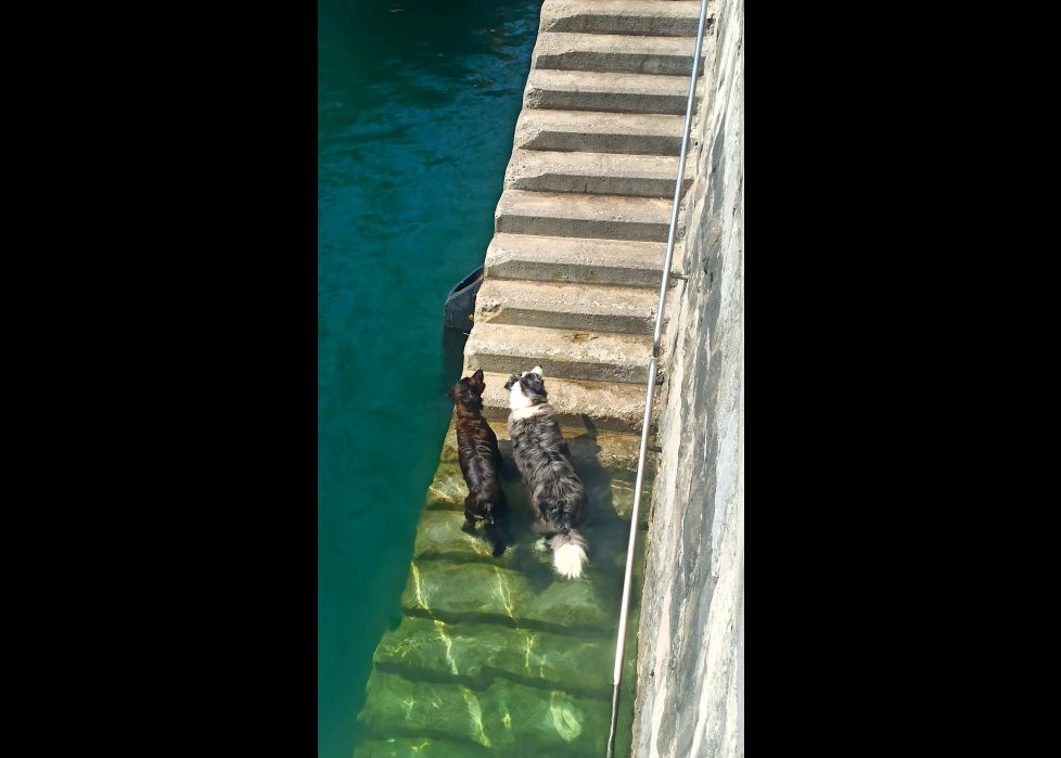 A remojo en el muelle!!