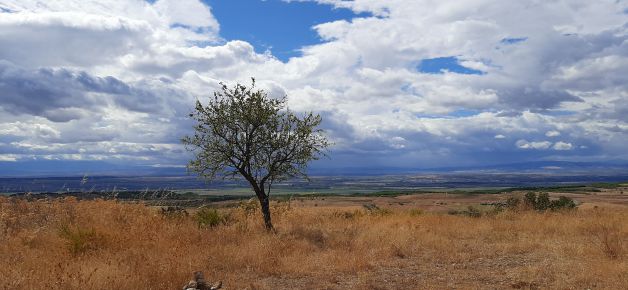 La sabana navarra.