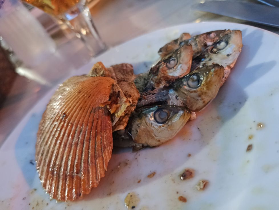 Sardinas!