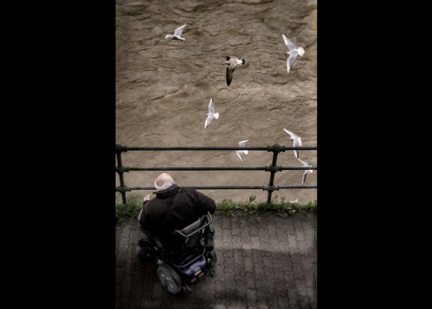 El señor de las gaviotas