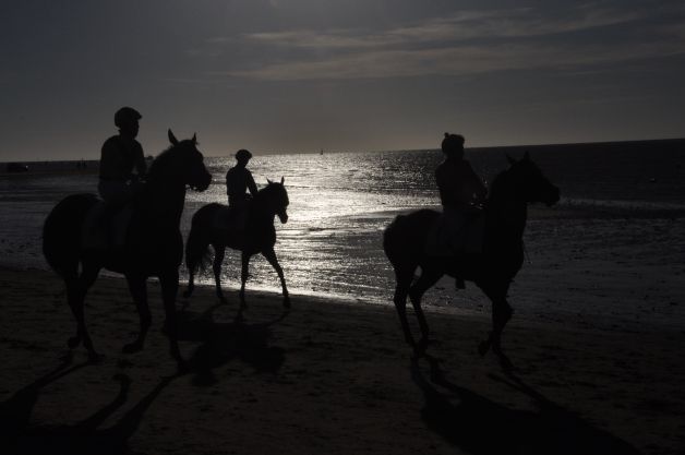 SILUETAS SOBRE LA MAREA