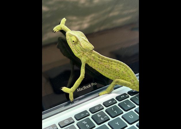 yo soy de mac