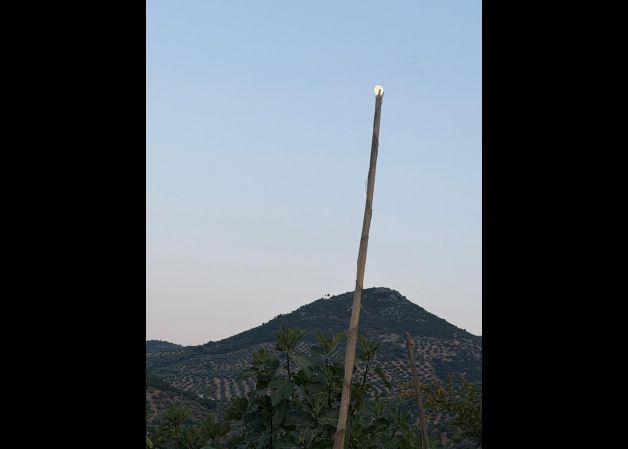 Sujetando la luna