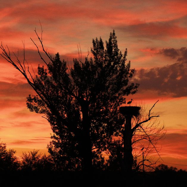 TAMAMES (SALAMANCA)   SILUETAS AL OCASO 