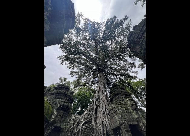 Del templo al cielo